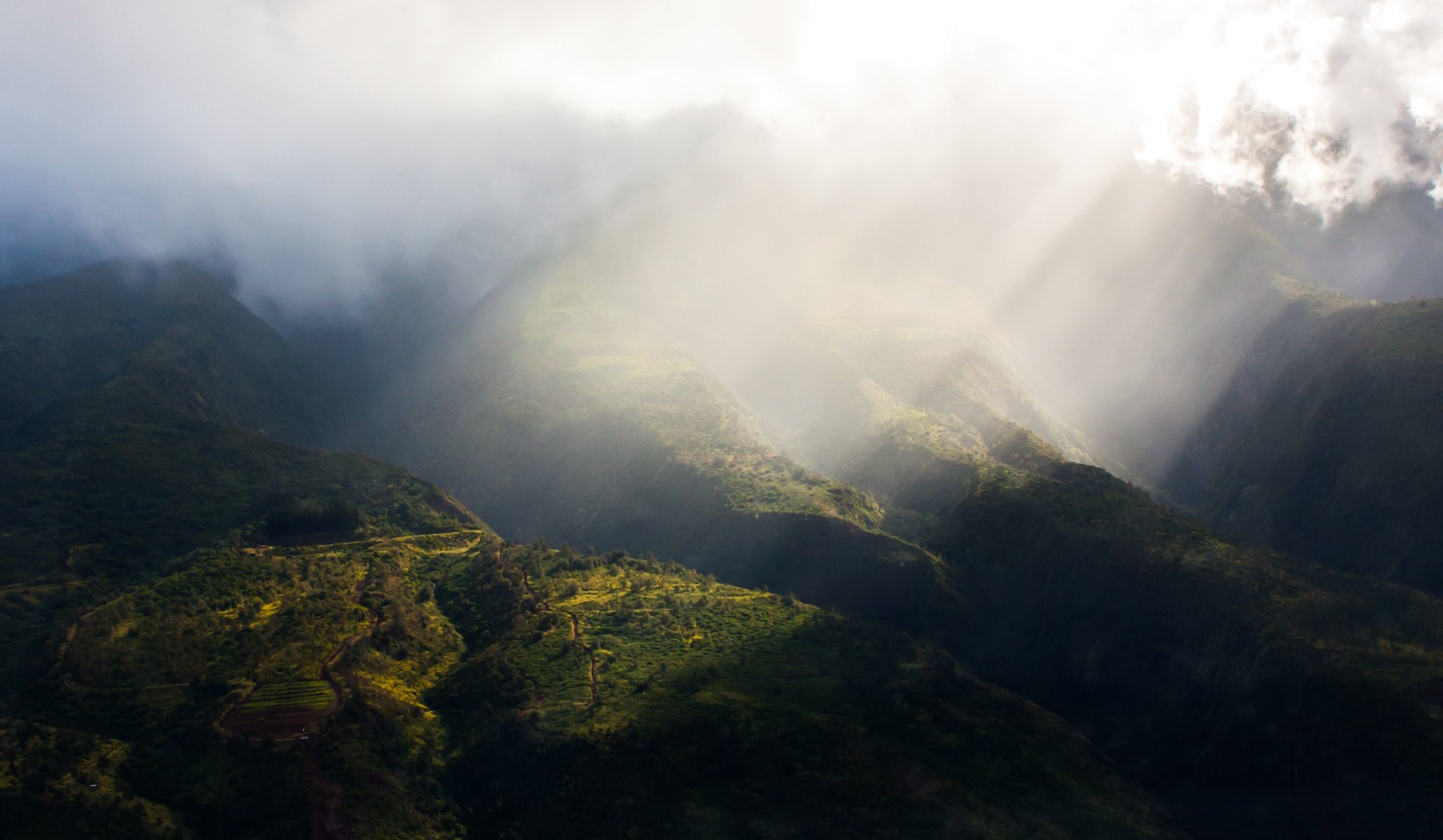 Hawai'i Wildfire Resources - 'Ohana Center of Excellence